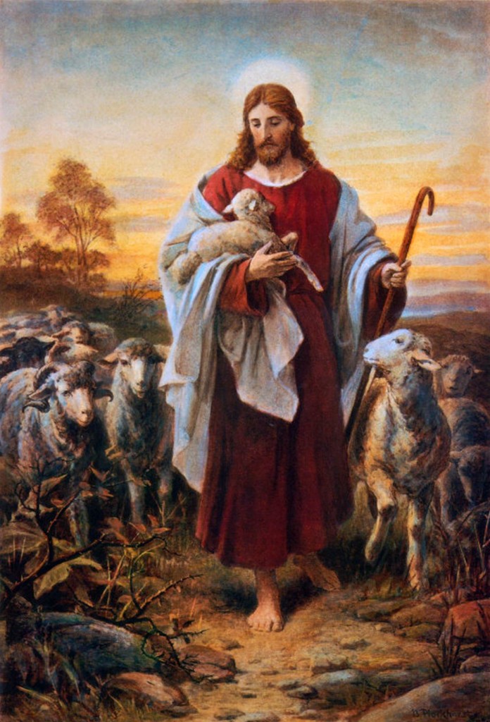 Shepherd - Jesus