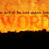 God's Word endures forever